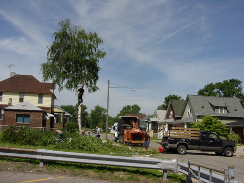 ./Gallery/2011 Bennet Lot Tree Removal/DSC06448.JPG
